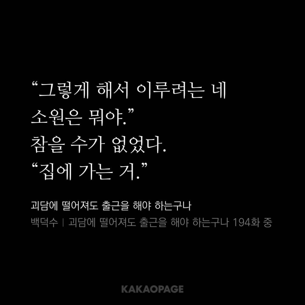 치커리 tweet media