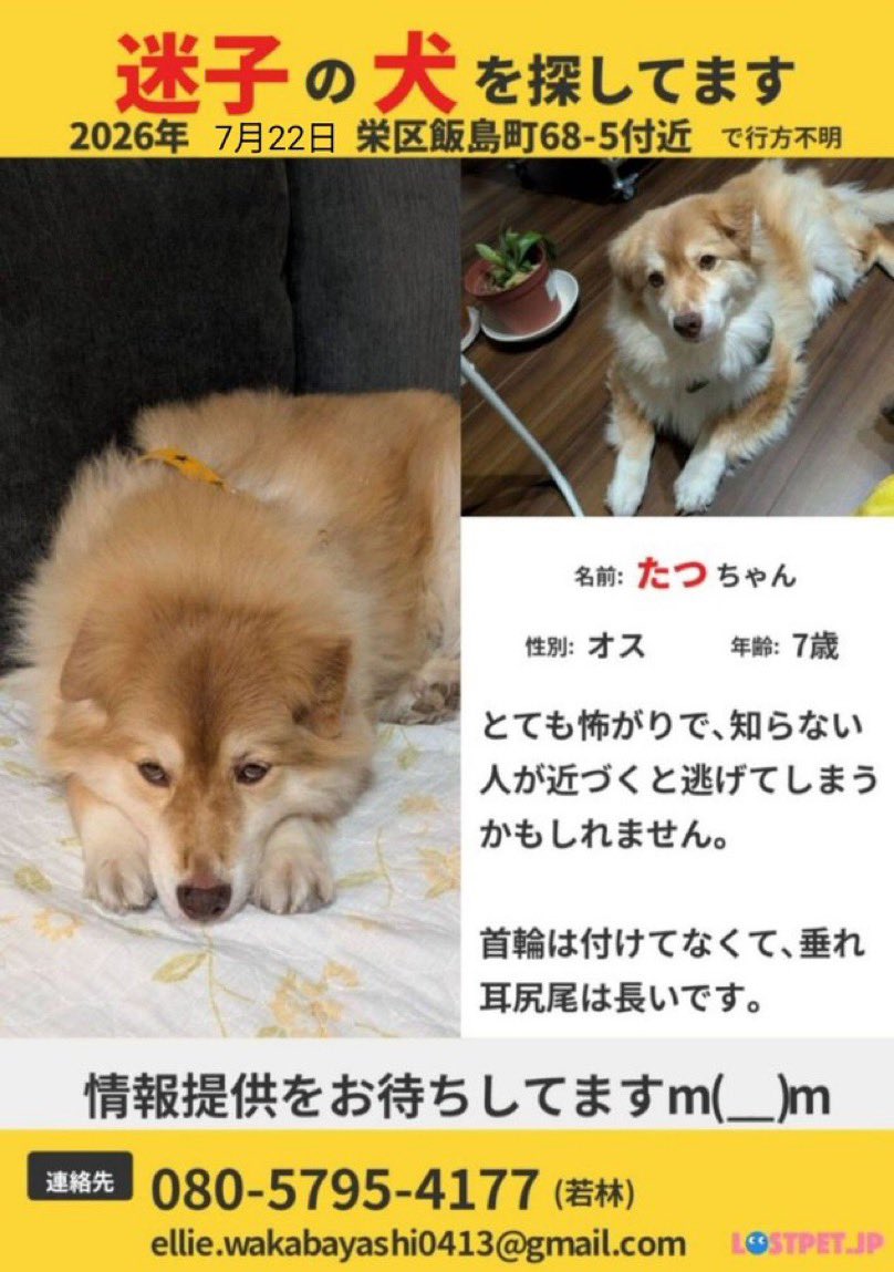 FX_Mankichi's tweet photo. https://t.co/dF3EclkqFt