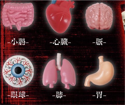 k42wKKihKBGTvXv's tweet photo. ドンキ限定の人体内臓バスボールだって！！

心臓、脳、肺、胃など全6種

人体内臓 ホラー雑貨 バスボール
8/4(火)発売予定

#最新情報　#グッズ https://t.co/VdQwxTxgLR