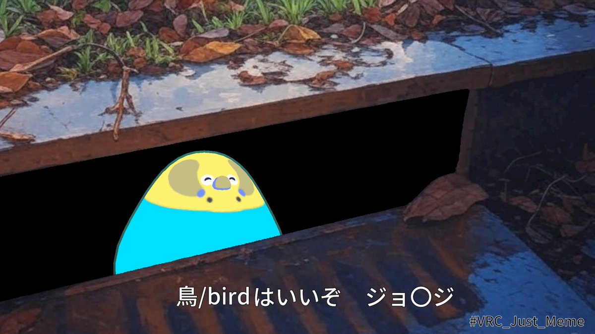 ムガインコ tweet media