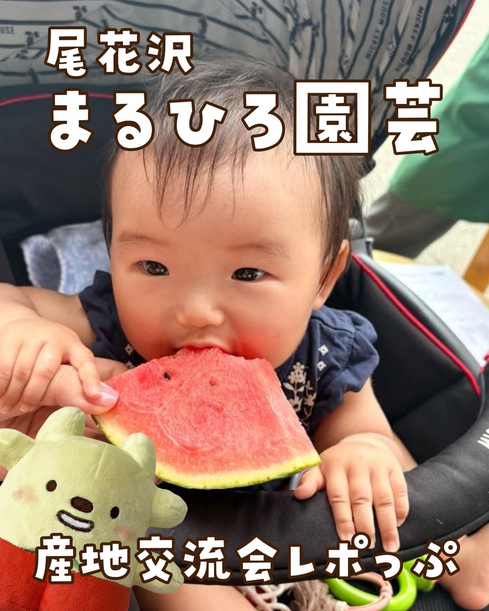 kyoritsusha's tweet photo. 今日はスイカの日にちなんで7/22に開催された
#生協共立社 が産直提携している
#まるひろ園芸 産地交流会の様子をお届け💚
畑一面に広がる元気な緑の葉っぱ！
その下には丸々と実ったスイカ👀
生産者さんから美味しいスイカが育つ秘密や
こだわりを直接教えてもらえて
とっても勉強になったよ～🍉 https://t.co/QUM5SE1BwX