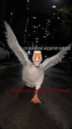 밀끼루 RK tweet media