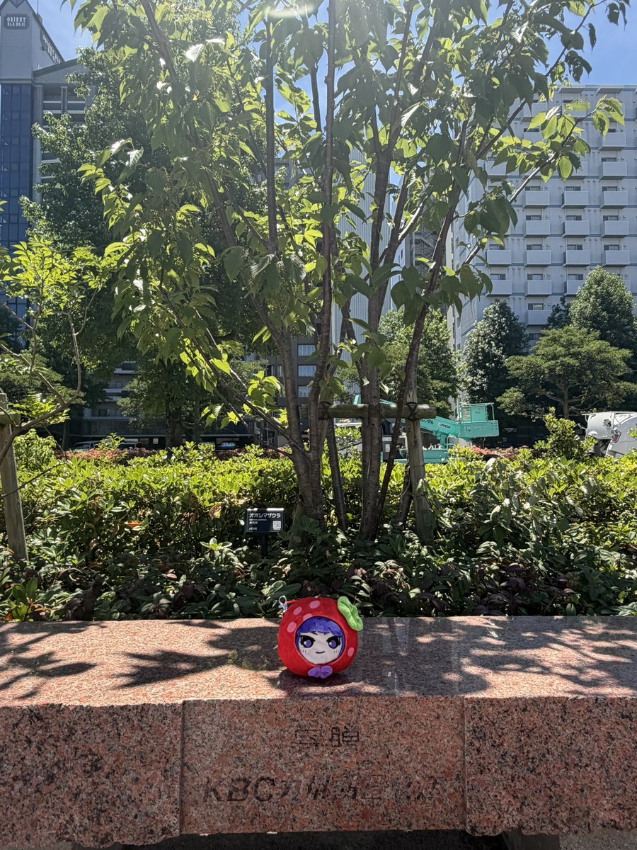 Nico25m3's tweet photo. うおおおおおお
妖怪過去ライブ縋りだから聖地巡礼してきた https://t.co/JWnrQOoMCR