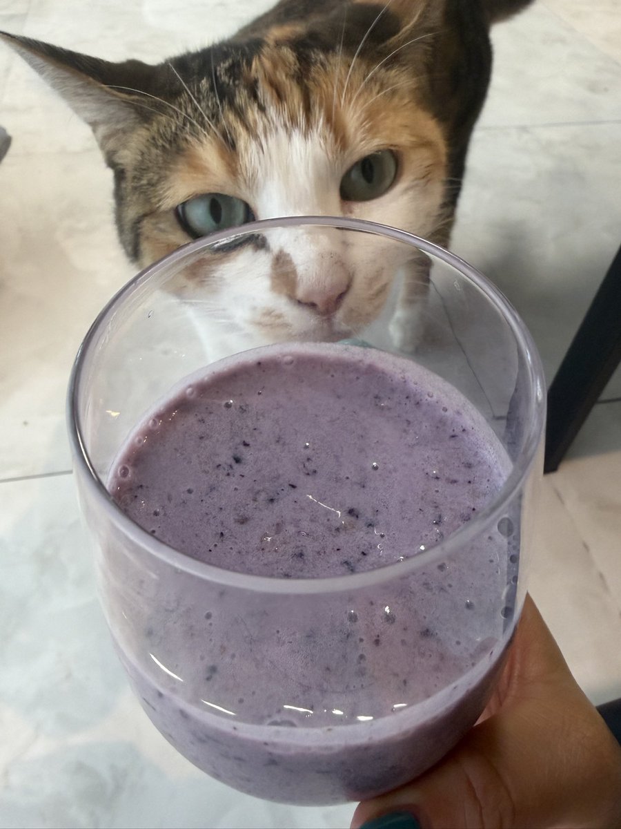 hanapipip's tweet photo. 最近朝ごはんは毎日これ🙂‍↕️
豆乳＋フルーツ＋プロテインのスムージー
起きてすぐは全くお腹空かないので、さらっと飲めるのがありがたい！
これ飲んでジム行って、終わってからおにぎり1個食べてます🍙

#筋トレ垢さんと繋がりたい #ダイエット垢さんと繋がりたい #料理好きな人と繋がりたい https://t.co/8Ec5ETnkw6