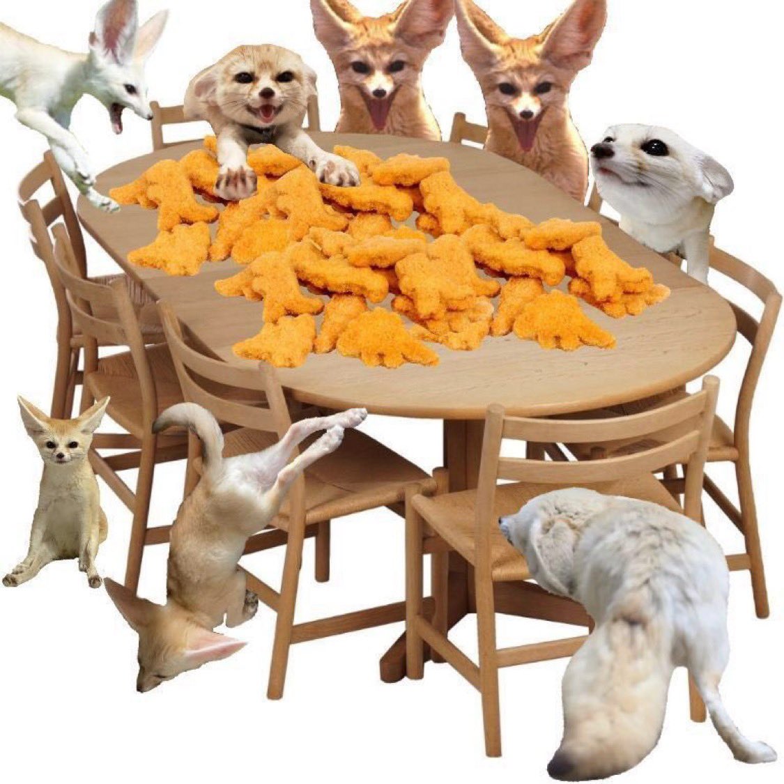 SawftFox's tweet photo. It’s feeding time https://t.co/CydqJXrWaI