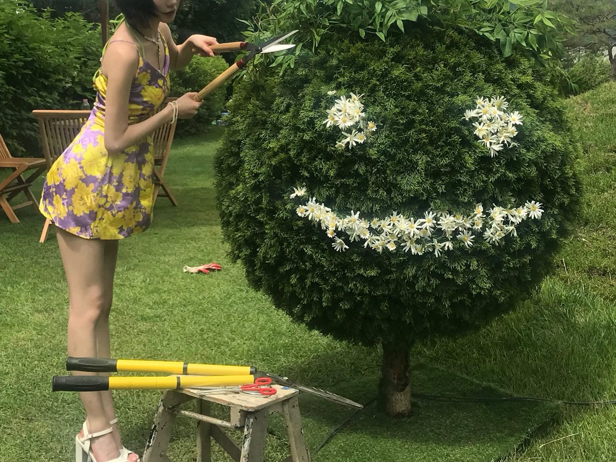 fleurhymns's tweet photo. blooms like flower.. 🌸 https://t.co/8i4MkyidrJ