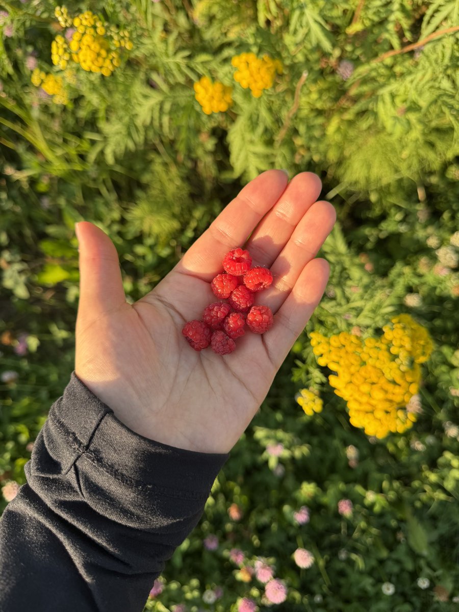 matchabae99's tweet photo. nature rewards you when you walk a lot https://t.co/GfrMaS90N2
