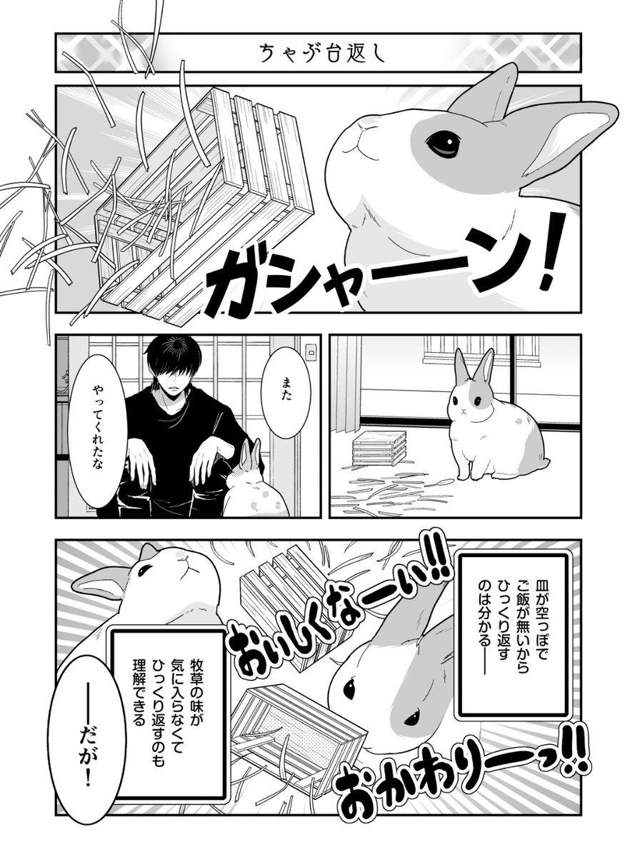 kakimiya_nazo's tweet photo. うさぎあるある https://t.co/NUu8FFIMmA