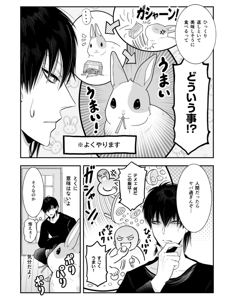 kakimiya_nazo's tweet photo. うさぎあるある https://t.co/NUu8FFIMmA