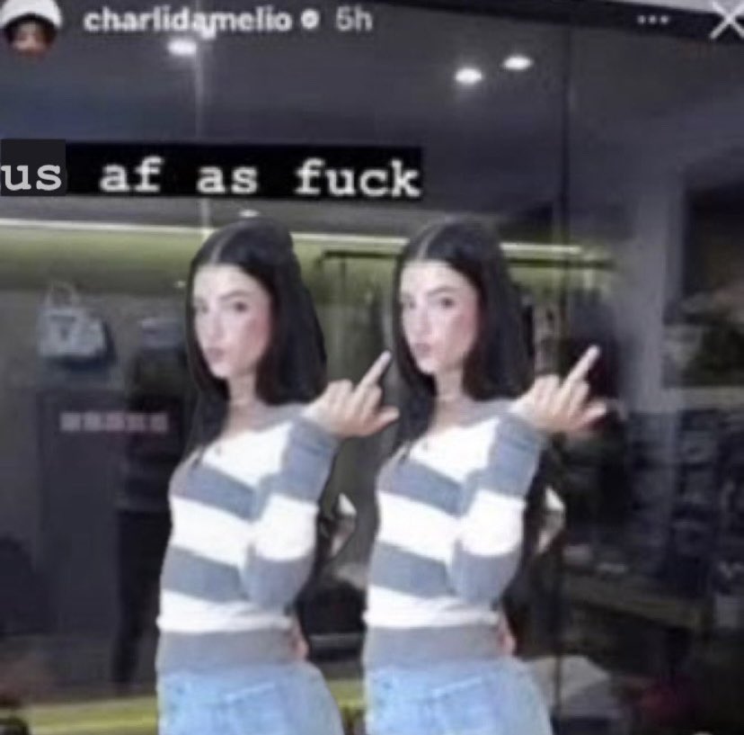 mai 🦢 tweet media