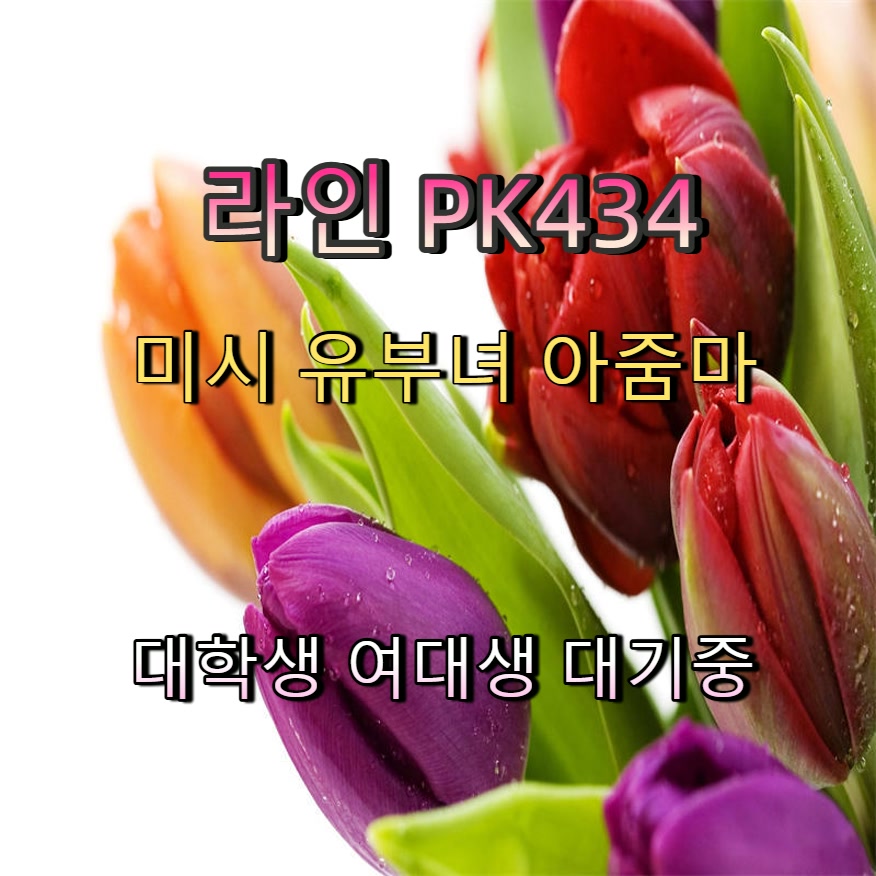 lexCabr1's tweet photo. #무안 #무안조건만남 #조건 #오프 #무안ㅈㄱ 🆎 https://t.co/tfsIWkzqw8