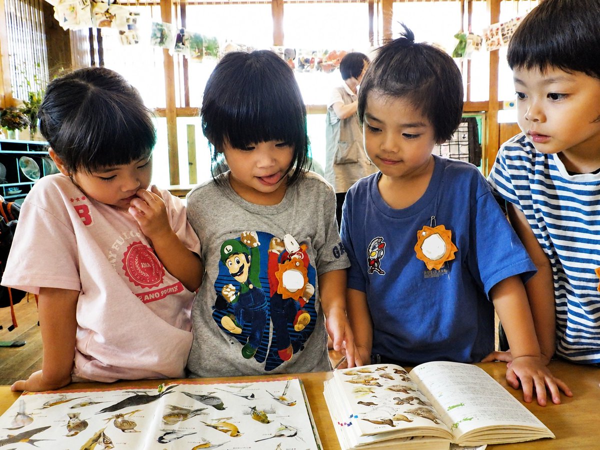 sizenkinder's tweet photo. 夏の間は3クラスを2つのグループに分けて過ごす4歳児。
せっかくなら、それぞれに新しいクラス名をつけよう！と子どもたちが話し合いました。
「ツバメは？」「シジュウカラは？」
色々な候補が出る中、「ベニジュケイはどう？」という声も。
こうして誕生したのが『ワシ組』と『ベニジュケイ組』🦅🐦 https://t.co/LvY9xaoat4