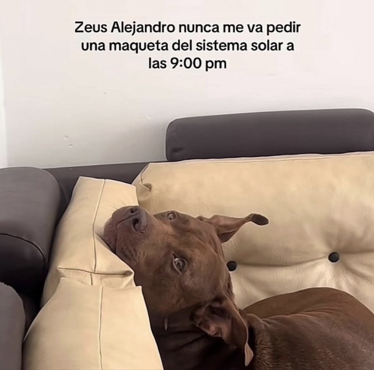 Guarromantico_'s tweet photo. Jamás lo haría. https://t.co/uww1RN0owc