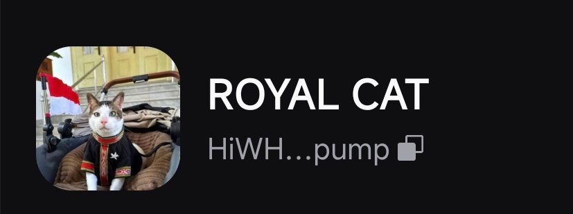 n00y's tweet photo. @theAdamcrypto $BOBBY ROYAL CAT COIN . 
HiWHZGDCrRYMheDCvQf41XzhJZbxvD9PirMmu1RLpump https://t.co/0hfvwFk1wI