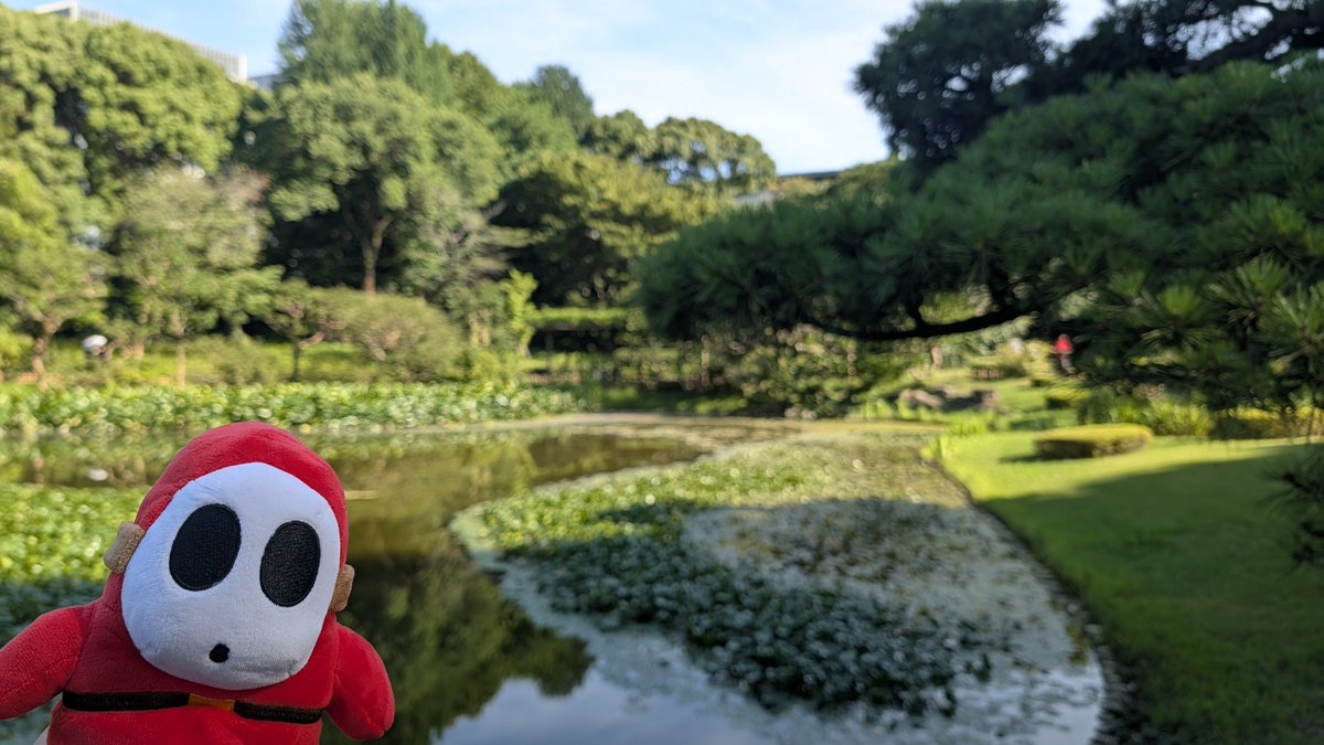 kumakin_shyguy's tweet photo. 週末は皇居を散歩しました
後ろから来た外国人にshyguyと言われました https://t.co/jBbmleNc7w