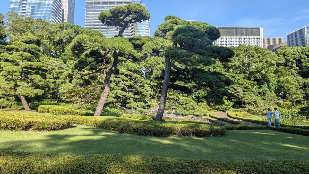 kumakin_shyguy's tweet photo. 週末は皇居を散歩しました
後ろから来た外国人にshyguyと言われました https://t.co/jBbmleNc7w