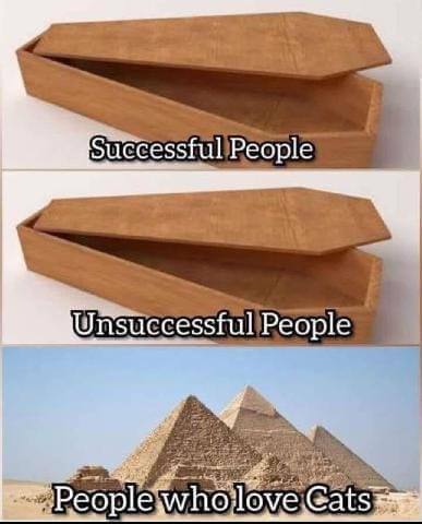 SpillTheMemes's tweet photo. 😂 https://t.co/kdo2NKnFpZ