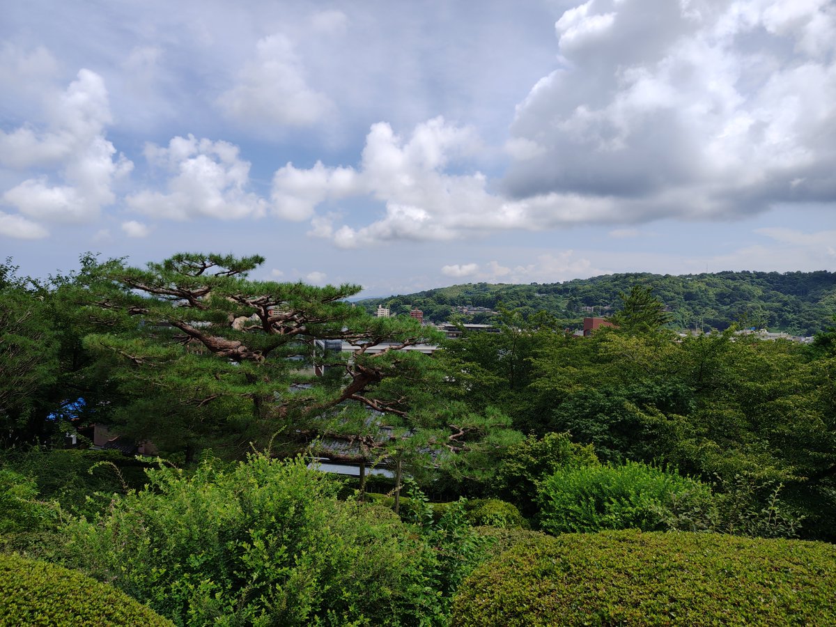 bumomo's tweet photo. 兼六園をお散歩 https://t.co/pAzm3iYoJy