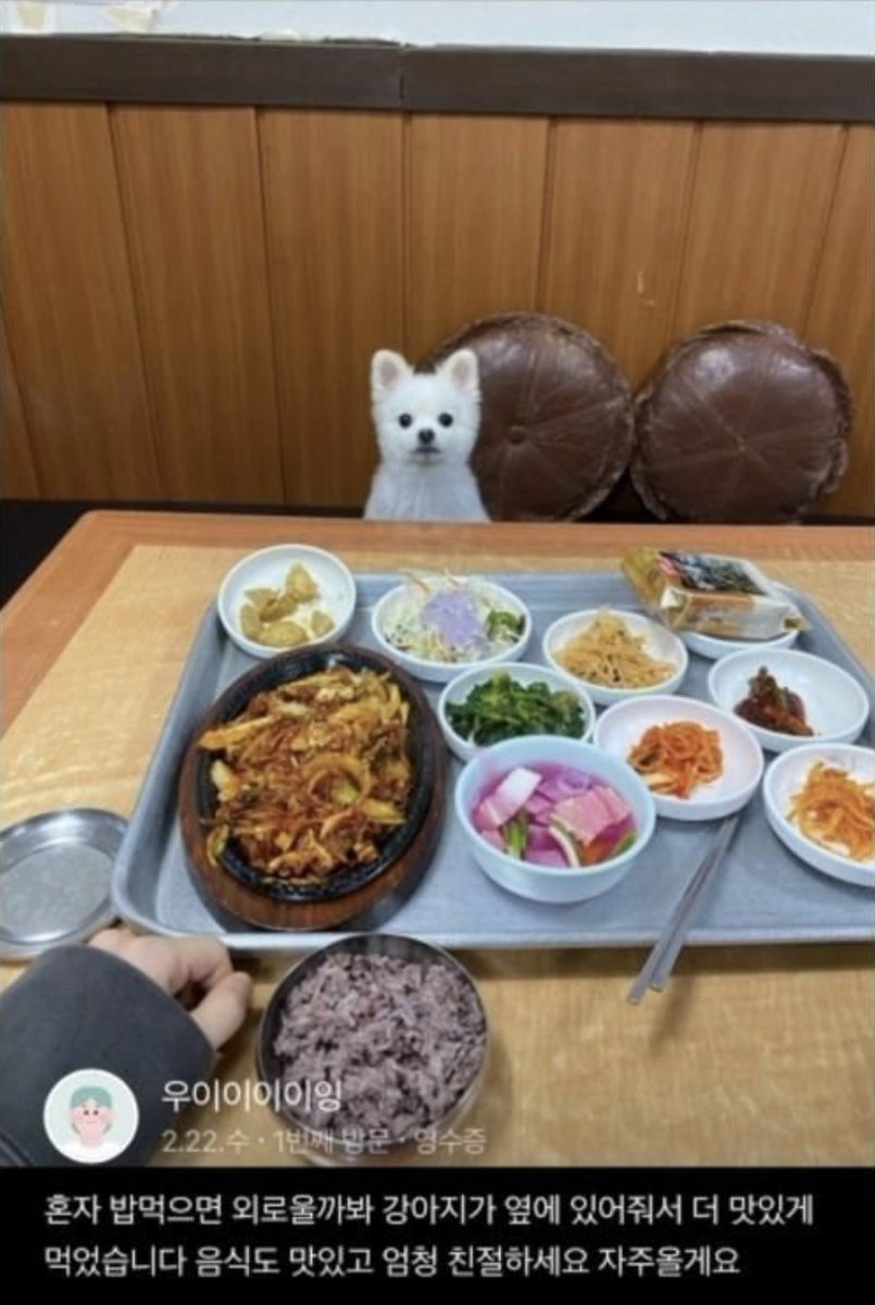 Rhayuumi's tweet photo. 혼밥하면 귀여운 강아지가 앞에 앉는 설렁탕집

또 눈치가 빨라서
자기를 싫어하는 손님이(나 강아지 싫어~) 오면
눈치채고 갑자기 저 이동가방으로 들어가버림
저러고 하몀없이 바라만 보고 있었다고.. ㅠㅠ

분위기도 읽을 줄 알고 똑똑한 강아지임. https://t.co/PQjhHrpIED