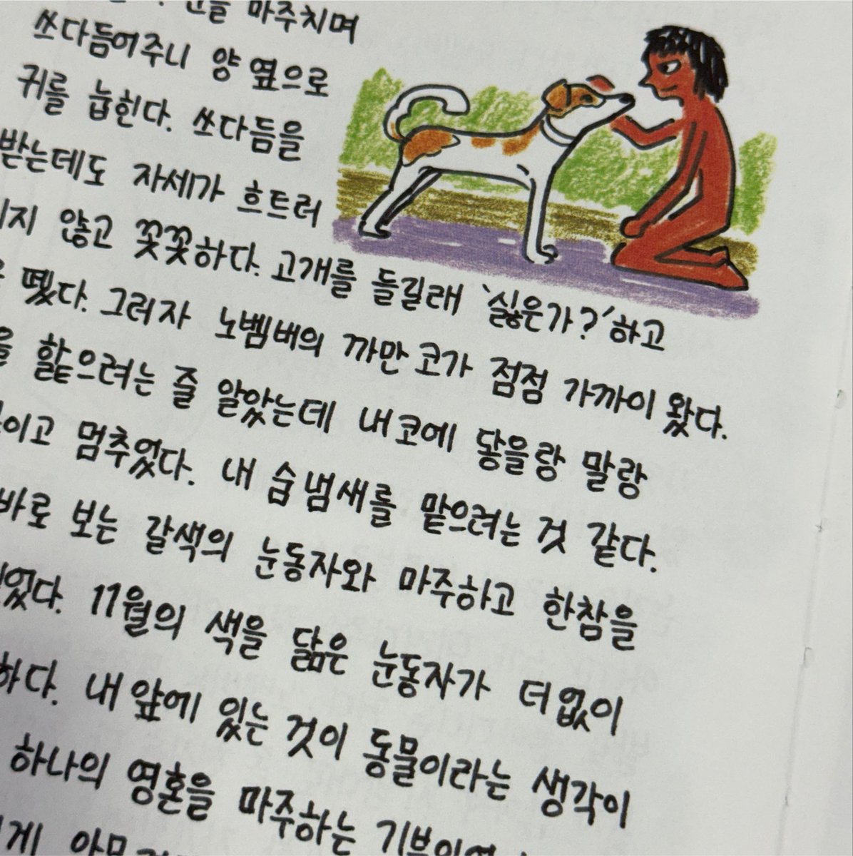 banbibooks's tweet photo. 독자님의 사진 속 댕댕이가 너무 귀여워서 열어보는 ‘코너 속의 코너’🐶🐱🦊🐼🐵🐔🐴
여행에서 만난 동물 친구들을 인용으로 자랑해 주세요(마케터의 사심)🥹 https://t.co/TjCmqmvEUV