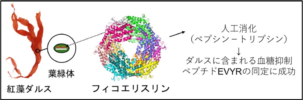 HokkaidoUnivPR tweet picture