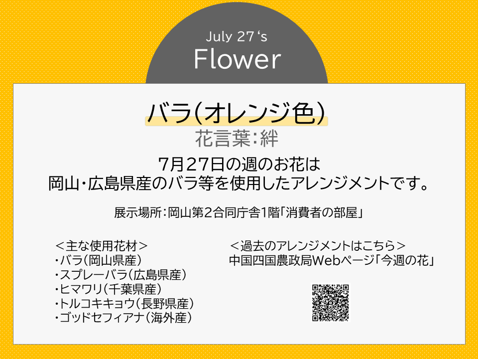 MAFF_CHUSHI's tweet photo. ＜バラ（オレンジ色）の花言葉：絆＞
岡山第２合同庁舎１階「消費者の部屋」では、中国四国の季節の花を毎週展示🌸
今週は、岡山・広島県産のオレンジ色のバラを使用した、夏らしい色合いのアレンジメントです。
#withGREENEXPO
#GREENEXPO2027
#2027年国際園芸博覧会

https://t.co/pmz8FCydBs https://t.co/MNQVZ8lR82