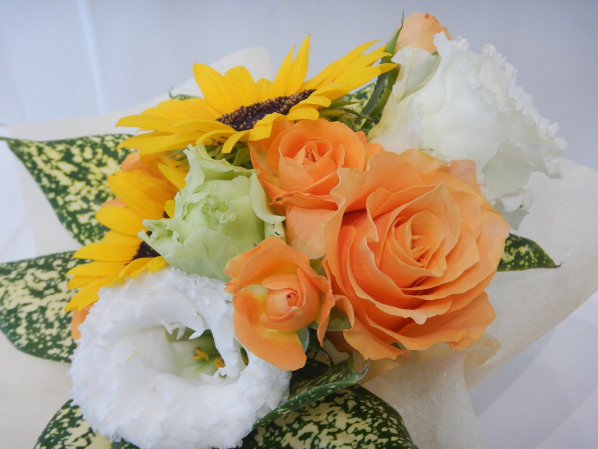 MAFF_CHUSHI's tweet photo. ＜バラ（オレンジ色）の花言葉：絆＞
岡山第２合同庁舎１階「消費者の部屋」では、中国四国の季節の花を毎週展示🌸
今週は、岡山・広島県産のオレンジ色のバラを使用した、夏らしい色合いのアレンジメントです。
#withGREENEXPO
#GREENEXPO2027
#2027年国際園芸博覧会

https://t.co/pmz8FCydBs https://t.co/MNQVZ8lR82