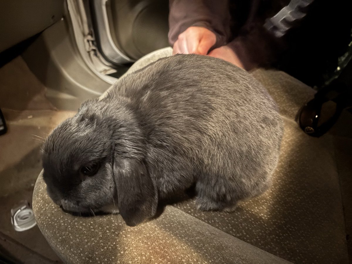 bunny_grunt's tweet photo. so THAT just happened. https://t.co/kvNEaW5e0O