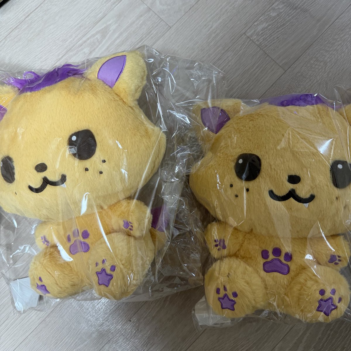 nabi_0813's tweet photo. 엔시티위시 WISH DOLL MD 위시돌 양도 

개별 사진 가격 참고
Sell DM ⭕️

NCT WISH sion riku yushi jaehee ryo sakuya 시오닝 쿠리 버블냥 댕트리버 룐룐 팡이 인형 엠디 위시 베이커리 스테디 별가방 슴스 광야 버전 셀포 컨포 시온 유우시 리쿠 사쿠야 오리지널 원조 https://t.co/LtZ3wKM7c1