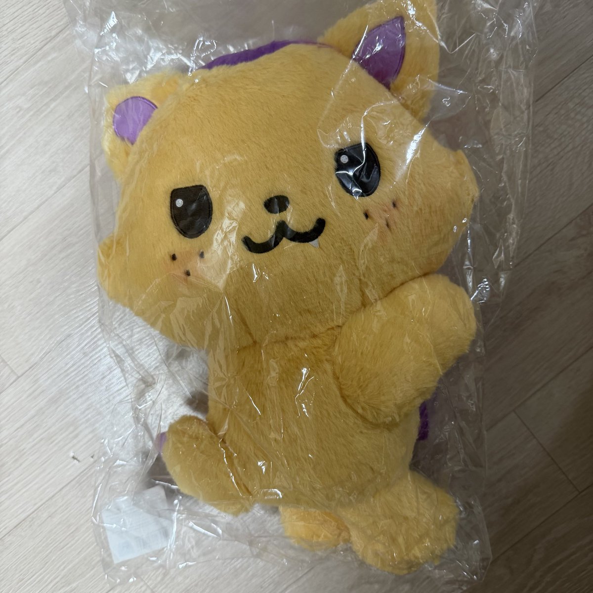 nabi_0813's tweet photo. 엔시티위시 WISH DOLL MD 위시돌 양도 

개별 사진 가격 참고
Sell DM ⭕️

NCT WISH sion riku yushi jaehee ryo sakuya 시오닝 쿠리 버블냥 댕트리버 룐룐 팡이 인형 엠디 위시 베이커리 스테디 별가방 슴스 광야 버전 셀포 컨포 시온 유우시 리쿠 사쿠야 오리지널 원조 https://t.co/LtZ3wKM7c1