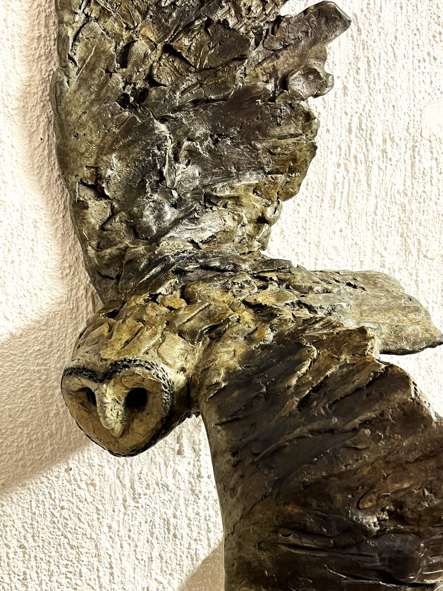 BrandonBronze's tweet photo. Another study where I was experimenting with a very gnarly and rough texture.
Barn Owl
Dimensions (cm): 56H x 30W x 20L
Material: Bronze
Weight: 13kg
#BronzeSculpture #WildlifeArt #BarnOwl #AfricanArt #BrandonBorgelt #SouthAfricanArt #NatureInBronze https://t.co/2YiRucTi9d