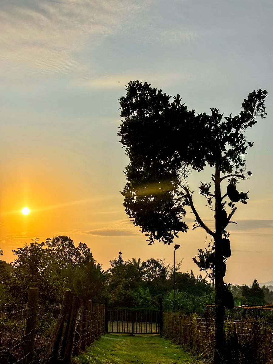 Y4BioClimate's tweet photo. Good morning from the beautiful Edwards Hamlet Regeneration Centre, Jinja! ☀️

We're ready to welcome children and youth for the Jinja Regional Consultations, where their voices will help shape climate and biodiversity action ahead of #LCOYUg2026. https://t.co/COSAj0Hup1