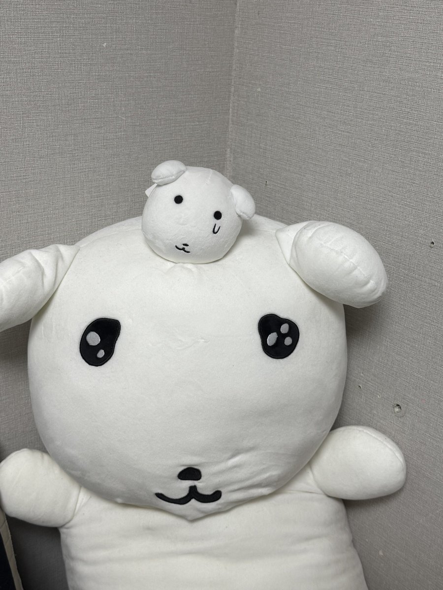 s_ion_'s tweet photo. 가나디 스트레스볼 샀어요… 졸귀탱 https://t.co/yduEIdoV9n