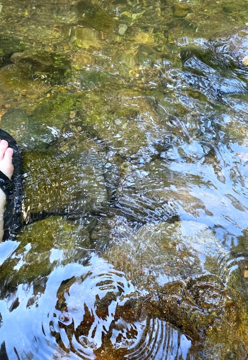 n___045's tweet photo. 동생 친구 어머니께 납치당해서 계곡왓어요🌊🌊 https://t.co/d7T7mwZ0Rr