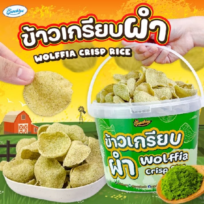 A2545_'s tweet photo. ลองดู ข้าวเกรียบผำ Wolffia Crisp Rice กรอบอร่อย ผำธรรมชาติ ออร์แกนิค ขนม ของกิน ขนมกินเล่น snackies ในราคา ฿59 - ฿219 ที่ Shopee https://t.co/aKA1fmgHCj

#ข้าวเกรียบ #ข้าวเกรียบผำ #ขนม #ของกิ��� #ของกินเล่น https://t.co/CuiOMuEhHk