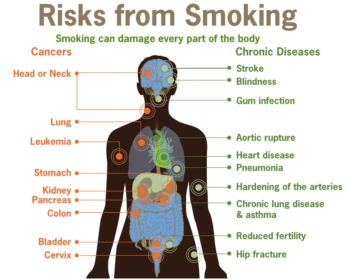 TruthAlone2's tweet photo. Smoking is injurious to health.
Say No to cigarette 🚭, Stay healthy.

Dear Smokers, please think about your &amp; others' lives too.

#QuitSMOKING https://t.co/loIFN3kEyM