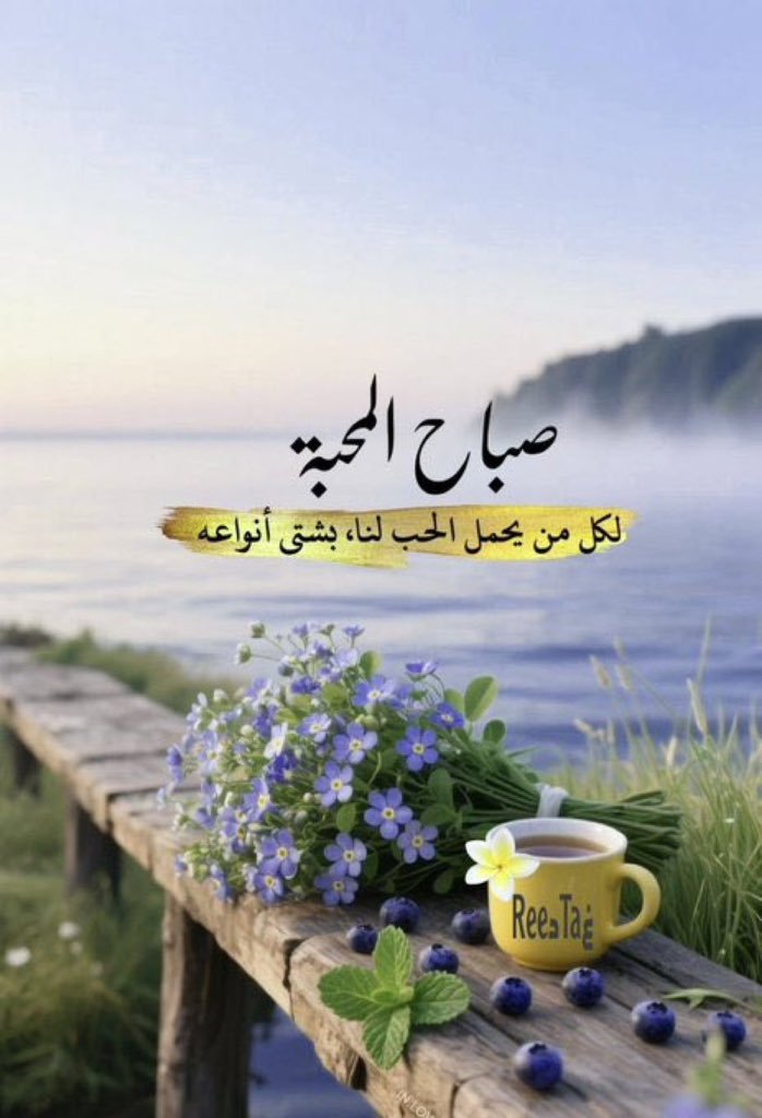 _ZYYQ8's tweet photo. تحتاج كود خصم نون كوبون 
افضل واقوى تطبيق نون 
بحر نون
NCVY ✅
 انسخ كود الخصم : NCVY

#teenagee  #momson #teenager #omegle
#الضمان_الاجتماعى_المطور 
#الراتب https://t.co/jmoxYuFR1w