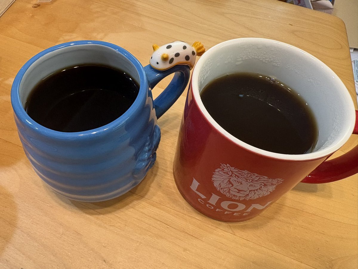 piwn's tweet photo. 早いものでペナントレースも折り返し。
私の推しチームは優勝を睨むことの出来る位置につけていて観戦がとても楽しいです。

今日はカルディの「カナリオ」🦁
アイスコーヒーが美味しい季節ですが、この豆はアチアチで飲みたかった。願掛けみたいなものですが。

#seibulions
#コーヒーのある暮らし🇧🇷 https://t.co/aN3fdTM7X3