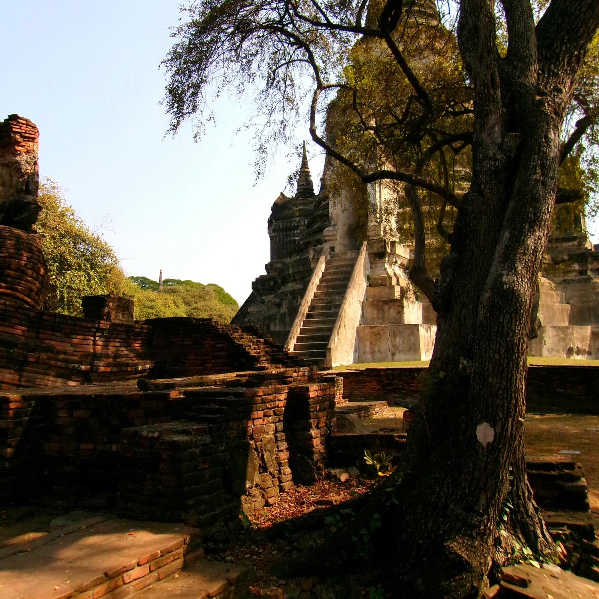 KODAKPIXPRO's tweet photo. Wandering through the sacred grounds of Wat Phra Si Sanphet 🇹🇭
.
.
.
.
.
📸 credit: IG @moonnmayo
🟡 shot with KODAK PIXPRO FZ45

#ayutthayathailand #ancientarchitecture #travel #kodakpixpro #shotonpixpro #pixprocamera #photography #digitalphotography #repost
#photooftheday https://t.co/vlSAMqTiiA