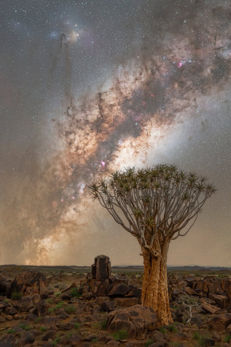 CleoHomsey's tweet photo. Feeling small is often a good way to regain some perspective here. https://t.co/r8zHPbPQ4T