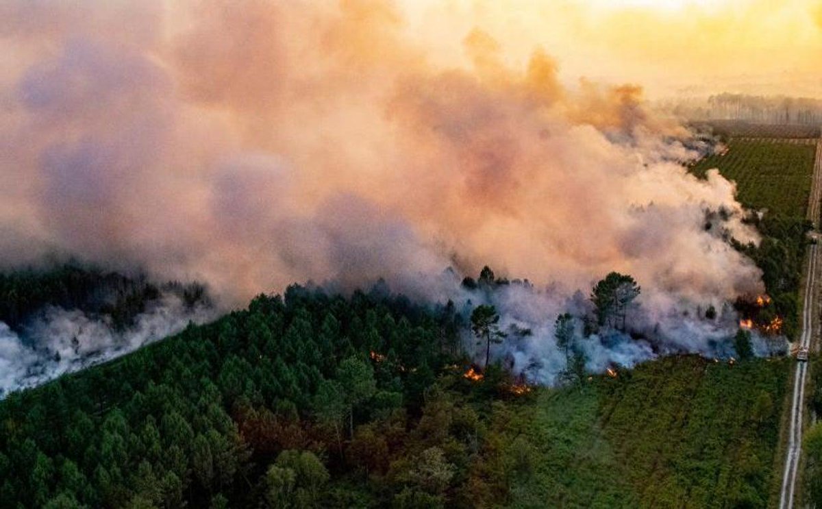 hhhmoriya's tweet photo. 現在、フランス南西部で大規模な山火事が発生。
約25万人以上が避難。フランスとスペインを合わせると30万人を超える避難者が。
焼失面積は約4万2,000ヘクタールに達し、これはパリ市の約4倍の広さです。
、高温・乾燥・強風のため鎮火は難しい状況です。
火災は世界的なワイン産地ボルドー近郊. https://t.co/R9nfYHukC0