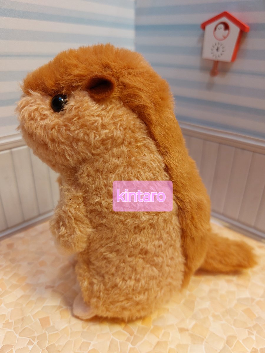 0624Pinky's tweet photo. ばんばぱえりあ先生(@banmof )の｢げっしるいのぬいぐるみ｣から、マーモット作ってみました🦫♥
色合い悩みましたが、この生地にして正解🥰
前歯がチャームポイントですね🤭
#ばんばぱえりあ　先生
#げっしるいのぬいぐるみ
#ハンドメイド https://t.co/5vNe53Zwyi