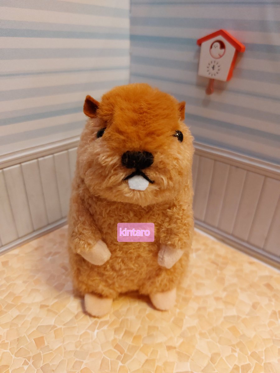 0624Pinky's tweet photo. ばんばぱえりあ先生(@banmof )の｢げっしるいのぬいぐるみ｣から、マーモット作ってみました🦫♥
色合い悩みましたが、この生地にして正解🥰
前歯がチャームポイントですね🤭
#ばんばぱえりあ　先生
#げっしるいのぬいぐるみ
#ハンドメイド https://t.co/5vNe53Zwyi