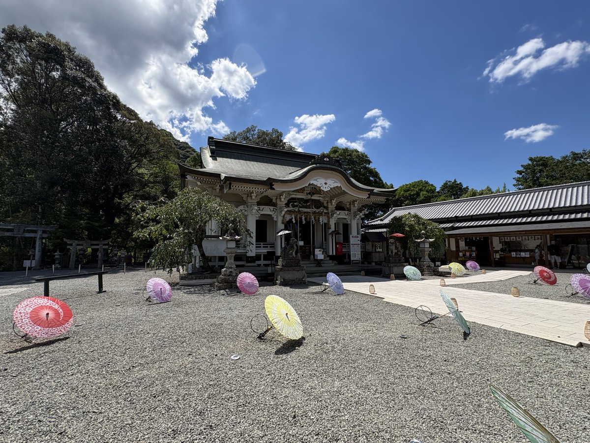 kusunoki_log's tweet photo. 佐賀県武雄市「武雄神社」⛩️

境内の奥には、樹齢3,000年以上といわれる国の天然記念物「武雄の大楠」があり、その圧倒的な存在感は必見です🌳

御船山の東麓に鎮座する、創建約1,300年の歴史を持つ古社。

主祭神は武内宿禰命で、開運・厄除け・長寿・良縁の神様として広く信仰されています🌳 https://t.co/HRLTSSS3II