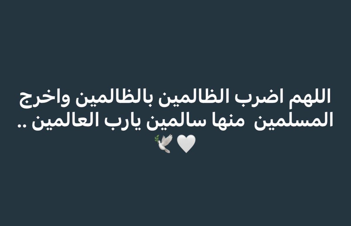 wd_shabt's tweet photo. https://t.co/3OMt7V37yv