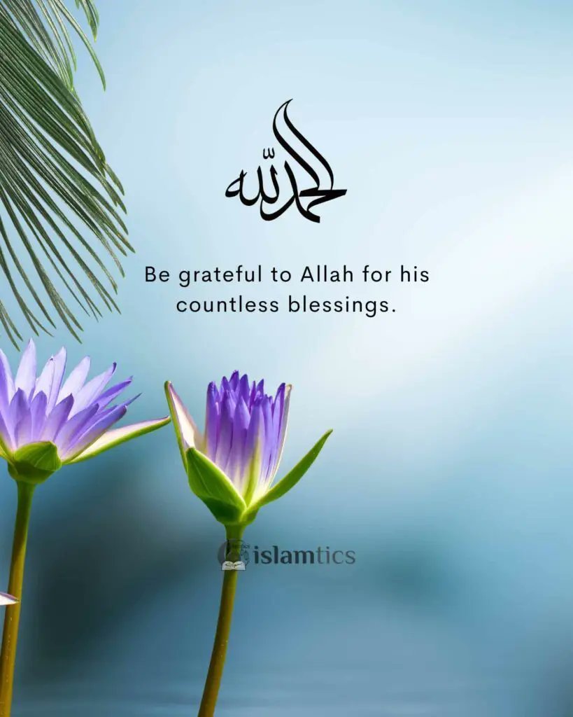 Hajjo15Umar tweet picture