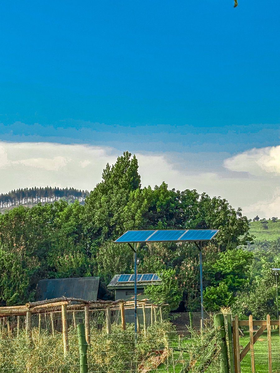 Y4BioClimate's tweet photo. The stage is set in Busoga.

The @UNDPUganda, in partnership with @UNICEFUganda, is now hosting the Eastern Regional Youth &amp; Children Pre-COP31 Consultation, bringing together young people to shape Uganda's youth climate priorities ahead of COP31 in Turkey. #LCOYUg2026. https://t.co/2DzKpNhmrM