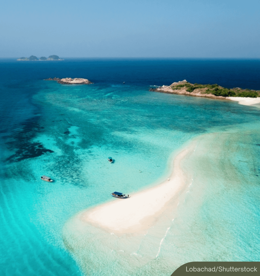 NewsBFM's tweet photo. A UMT study found that nearly two-thirds of coral samples from Pulau Redang contained microplastics, with higher pollution levels near tourist activity areas.

"Lebih banyak sampah laut dan plastik yang tersangkut pada terumbu karang di Pantai Long Beach berbanding lokasi lain," researcher Sabiqah Tuan Anuar told Utusan.

🧵1

https://t.co/O0PL5kqQXA