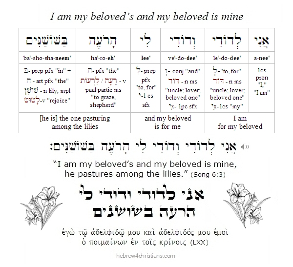 hebrew4c's tweet photo. The romantic holiday of Tu B’Av begins Tuesday, July 28th at sunset and ends the following day at sunset this year...

For more see:
https://t.co/5gzSC9i4Qq
­ https://t.co/NBlPQwmxUX