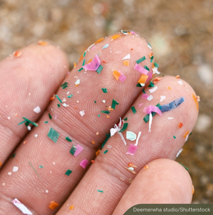 NewsBFM's tweet photo. A UMT study found that nearly two-thirds of coral samples from Pulau Redang contained microplastics, with higher pollution levels near tourist activity areas.

"Lebih banyak sampah laut dan plastik yang tersangkut pada terumbu karang di Pantai Long Beach berbanding lokasi lain," researcher Sabiqah Tuan Anuar told Utusan.

🧵1

https://t.co/O0PL5kqQXA